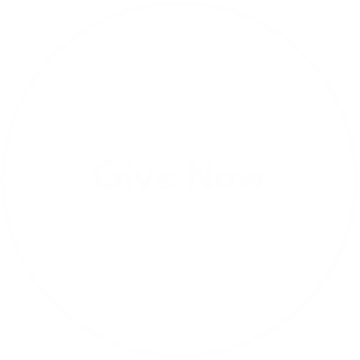 give now clear button